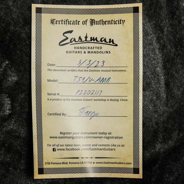 Eastman T59/v Thinline Archtop Amber Ebony Fingerboard (P2202117)