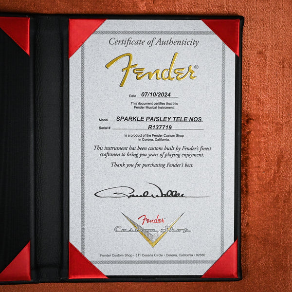 Fender Custom Shop Paisley Telecaster NOS, Masterbuilt Paul Waller - Silver Paisley Sparkle (R137719)