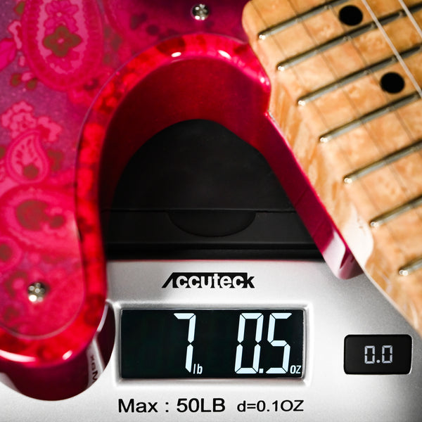 Fender Custom Shop Paisley Telecaster NOS, Masterbuilt Paul Waller - Silver Paisley Sparkle (R137719)