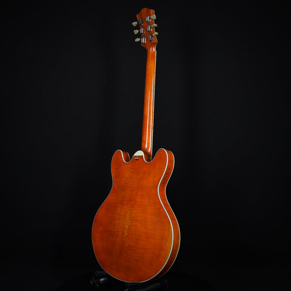 Eastman T59/v Thinline Archtop Amber Ebony Fingerboard (P2202117)