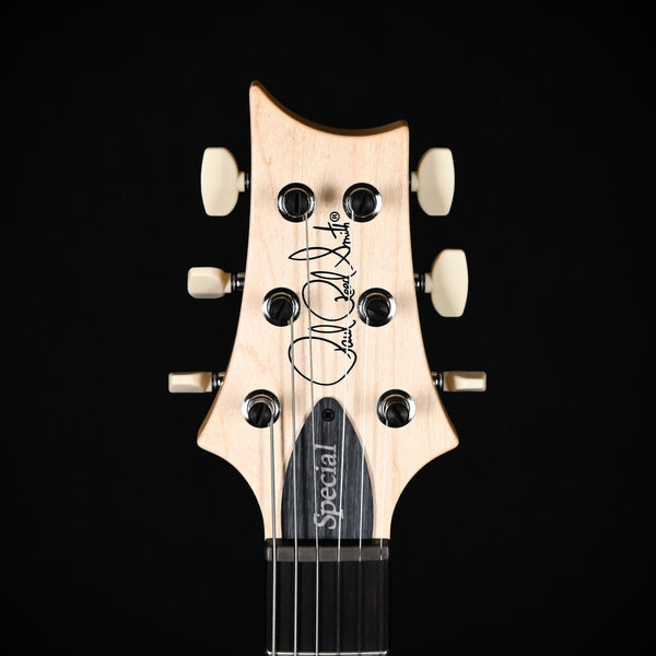 PRS CE 24 Special Electric Guitar- Sprayer's Choice 2026 (0423010)