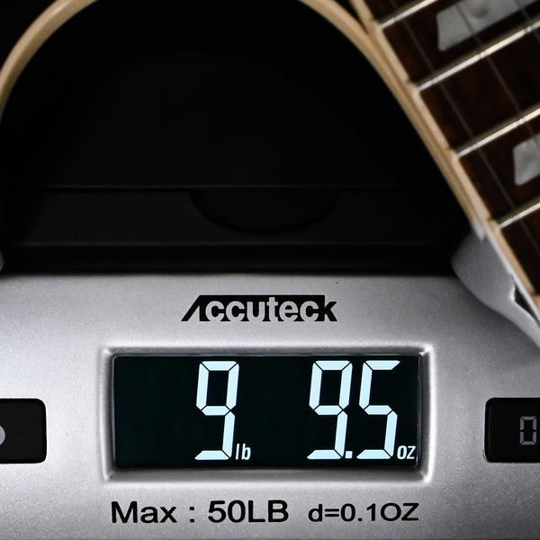 Gibson Noel Gallagher Les Paul Standard- Ebony 2025 (218450228)