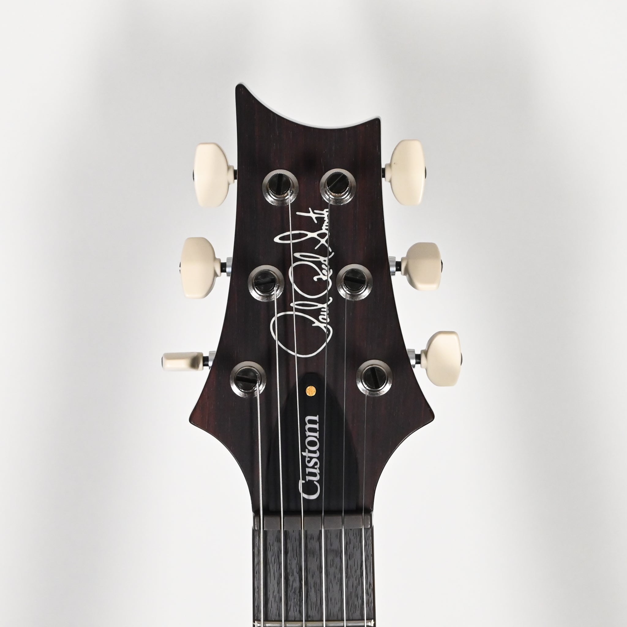 PRS Custom 24 Piezo w/ 10-Top & DMO Pickups Electric Guitar- Custom Color 2026 (0420427)