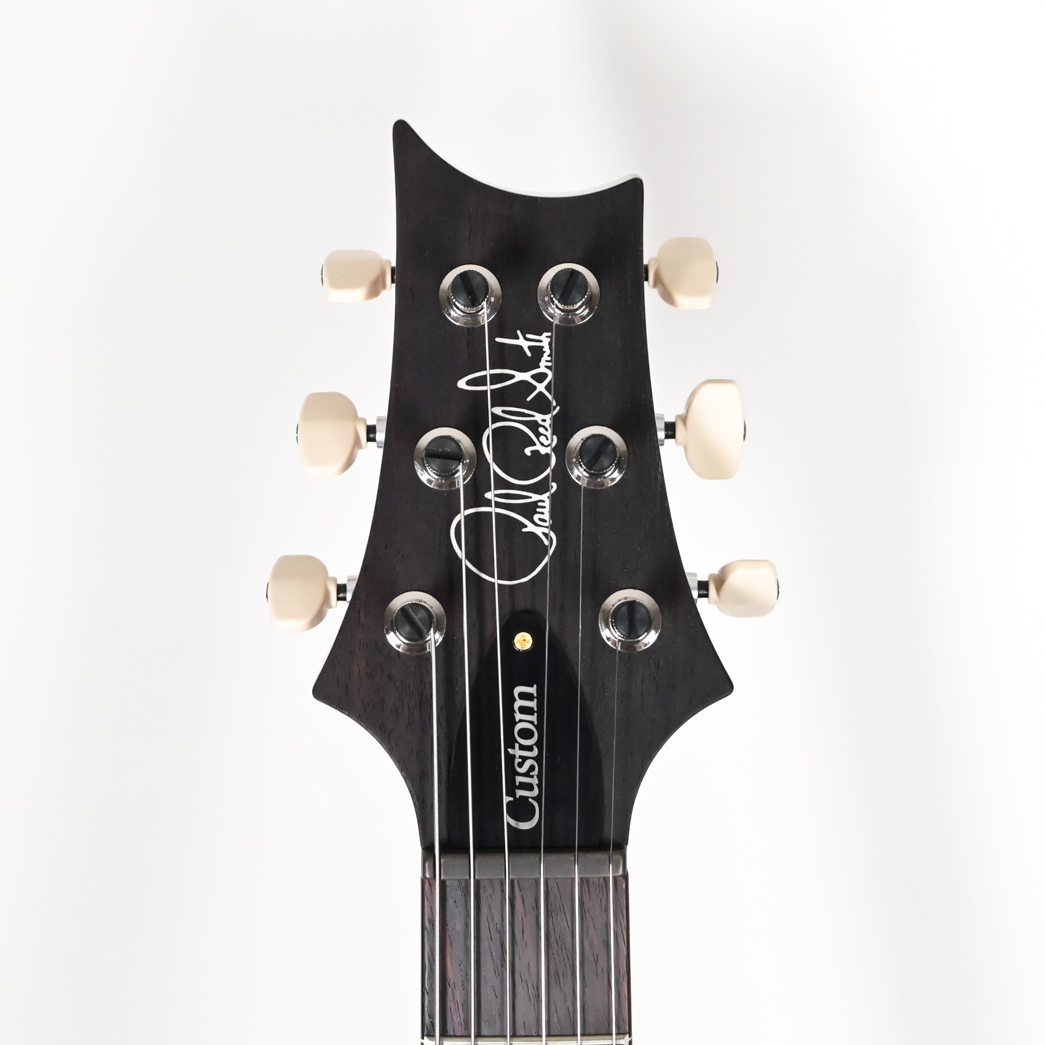 PRS Custom 24 w/ 10-Top & DMO Pickups- Custom Color 2025 (0421498)