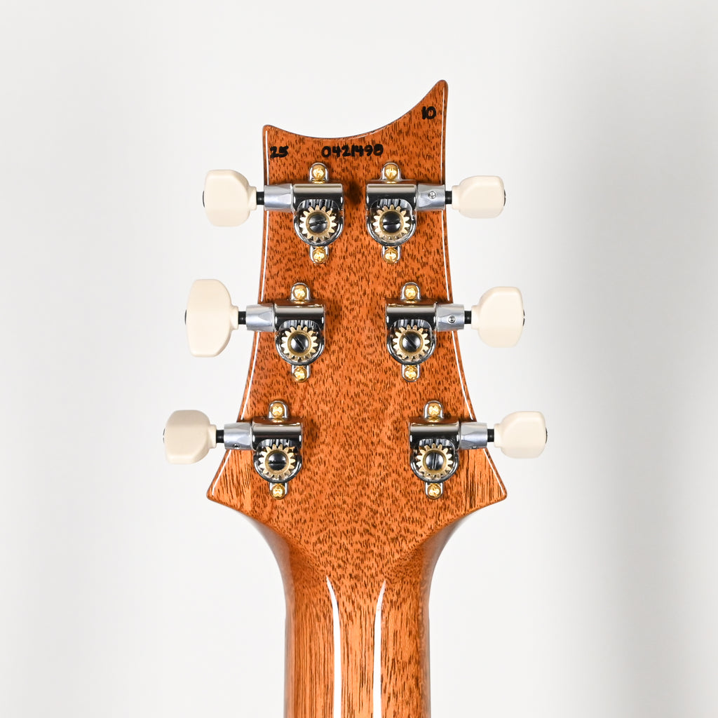 PRS Custom 24 w/ 10-Top & DMO Pickups- Custom Color 2025 (0421498)