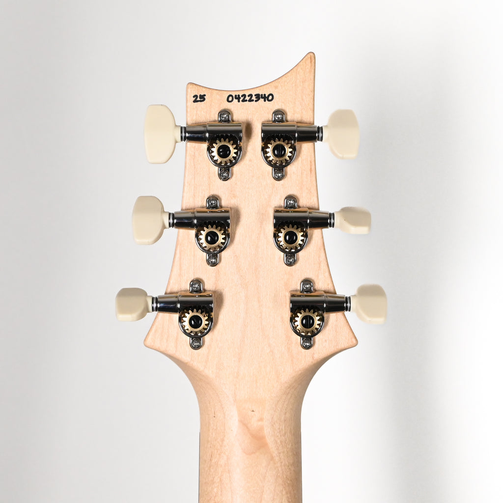 PRS CE 24 Special Electric Guitar- Sprayer's Choice 2026 (0422340)