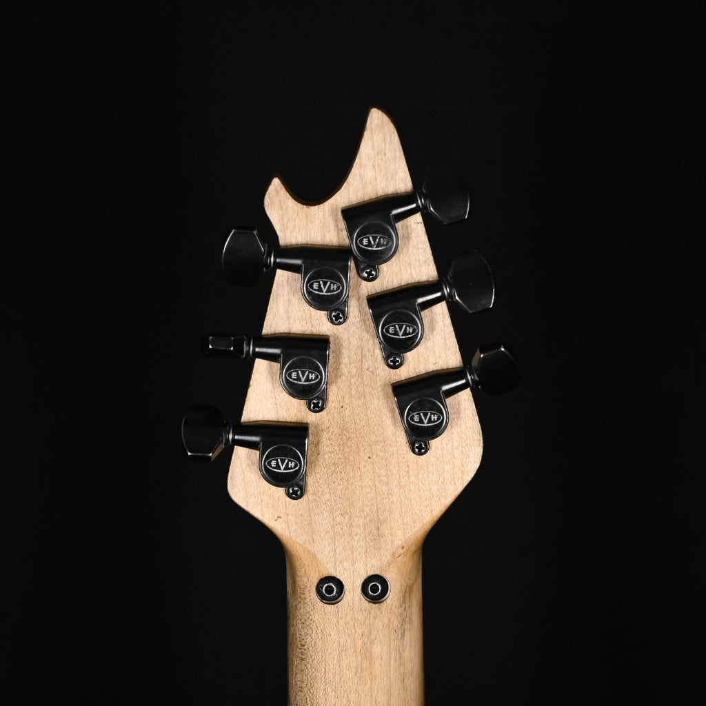 EVH Custom Shop USA NAMM 2025 Limited Edition Wolfgang HH w/ Floyd Rose- Black & White Stripes 2026 (WG17844A)