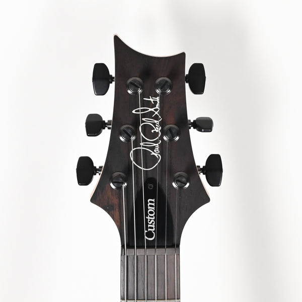 PRS Custom 24 Wood Library w/ 10-Top, Brazilian Rosewood, DMO Pickups- Aquableux Purple Burst 2026 (0419215)