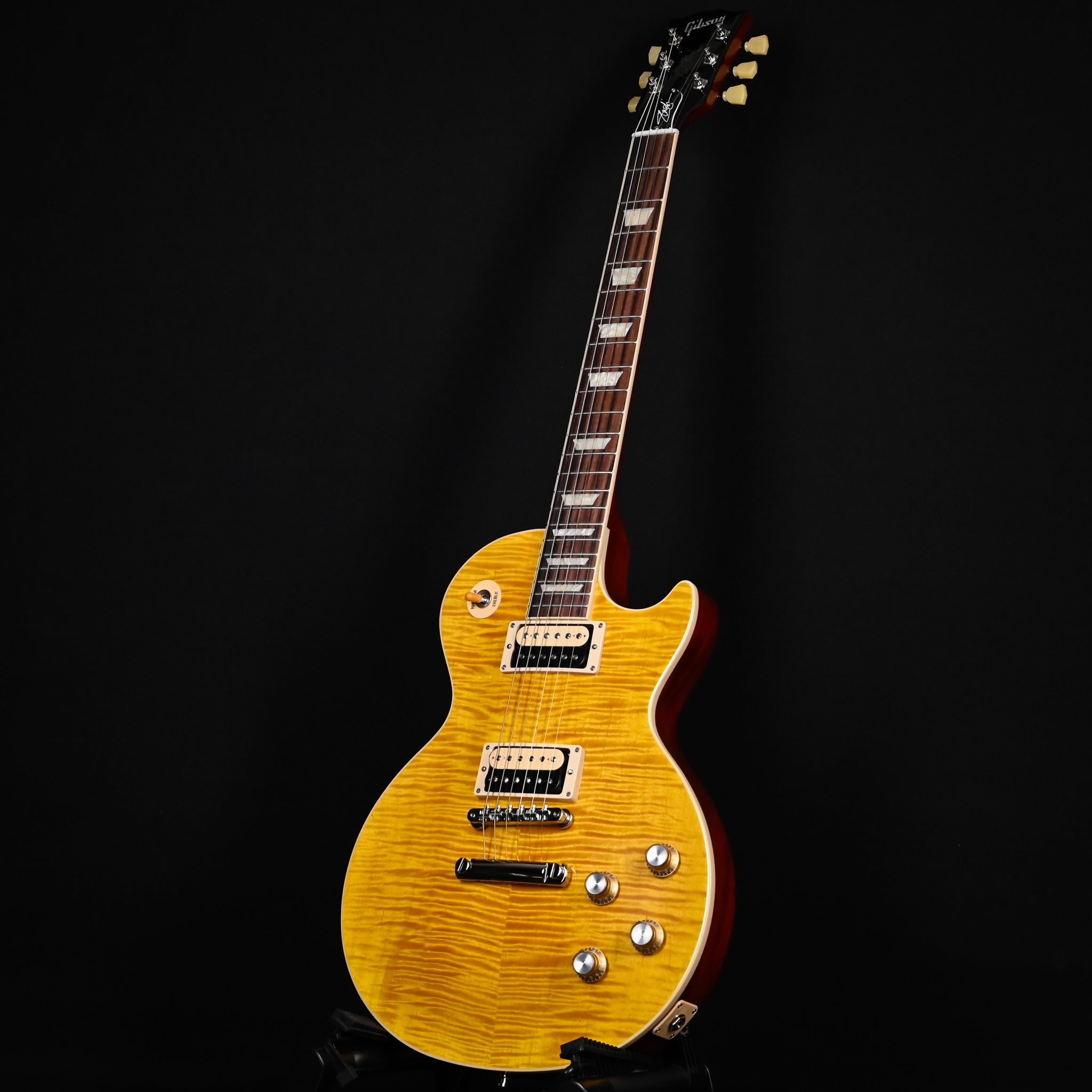 Gibson Slash Les Paul Standard Electric Guitar- Appetite Burst 2026 (213160021)