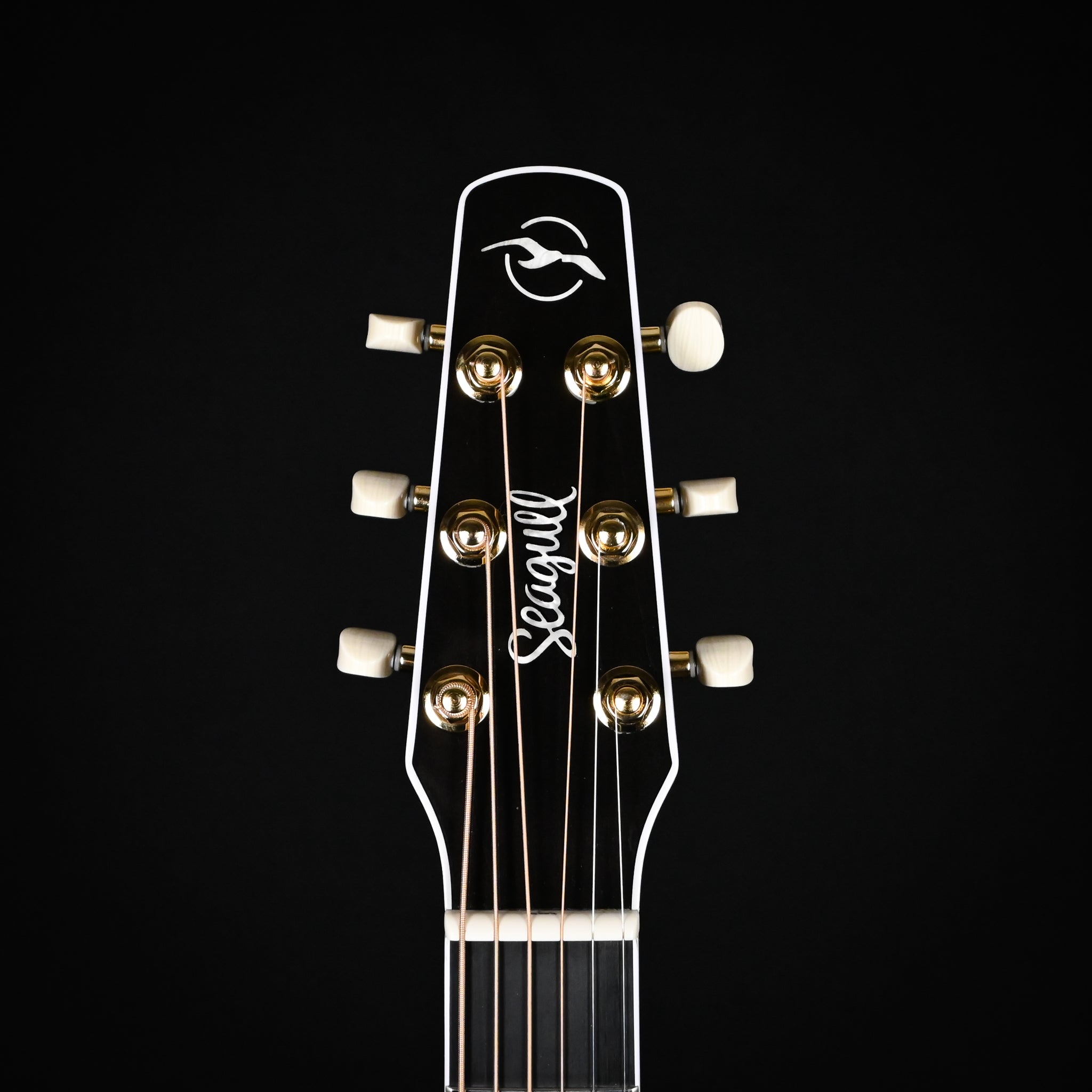 Seagull Guitars Artist Mosaic Anthem EQ Acoustic/ Electric- Natural (050536000196)
