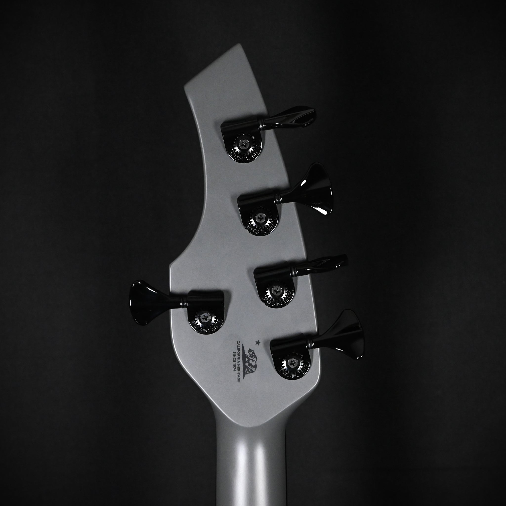 Ernie Ball Music Man Bongo 5 w/ Ebony Fingerboard, Bass Guitar- Titan Grey 2026 (K10741)