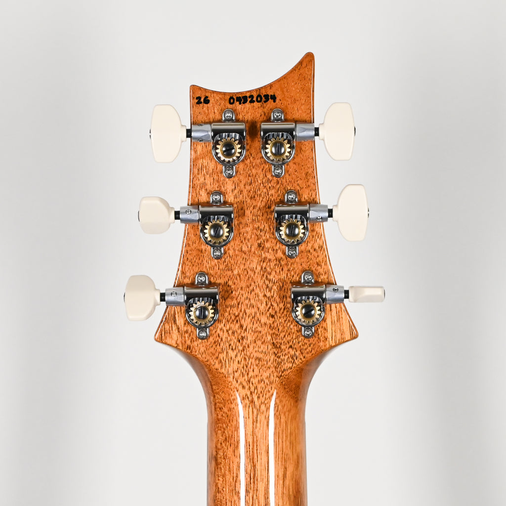 PRS Custom 24 "Birds Of A Feather" Limited Edition- Charcoal Microburst 2026 (0432034)