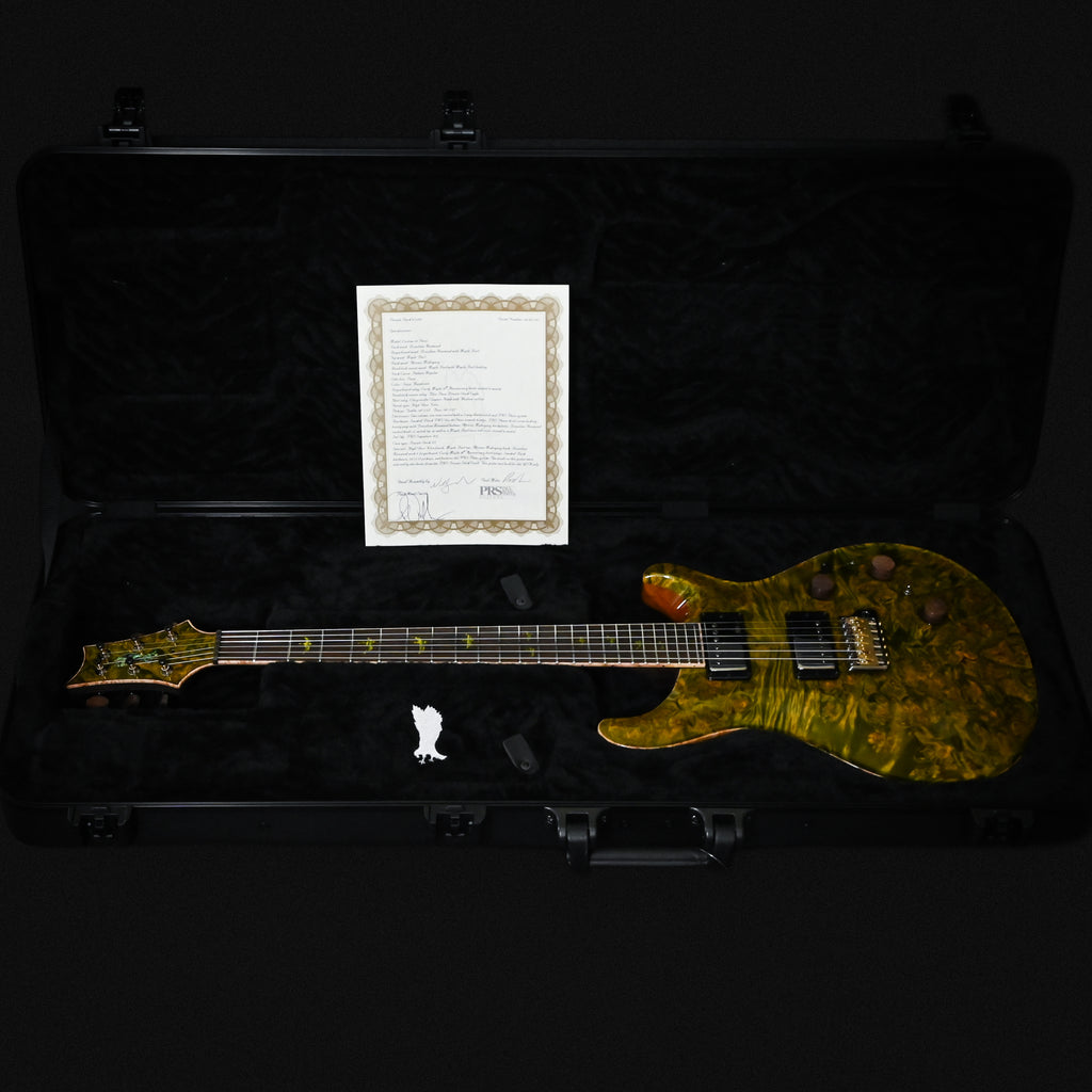 PRS Private Stock #12504 Custom 24 Piezo w/ Brazilian Rosewood Neck- Rainforest 2026 (0431183)