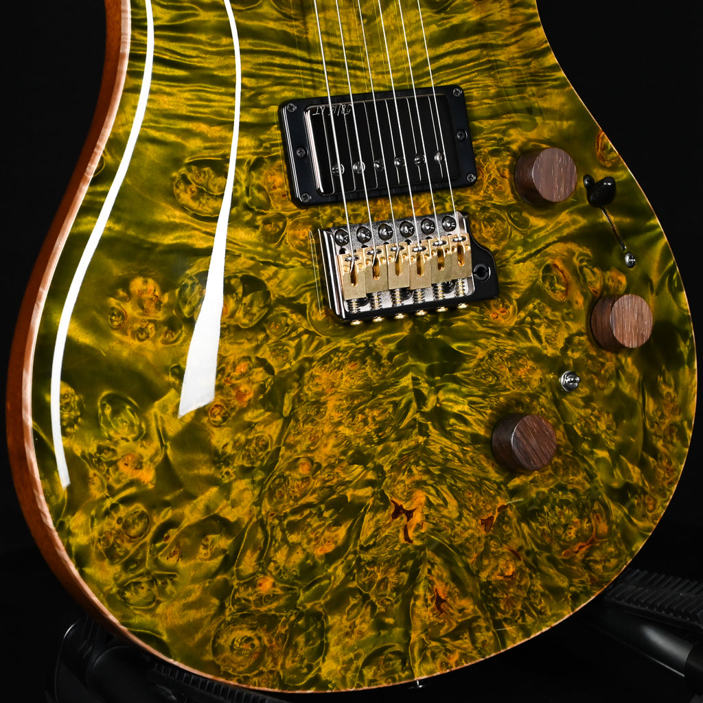 PRS Private Stock #12504 Custom 24 Piezo w/ Brazilian Rosewood Neck- Rainforest 2026 (0431183)