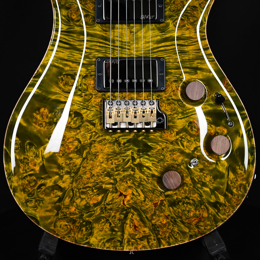 PRS Private Stock #12504 Custom 24 Piezo w/ Brazilian Rosewood Neck- Rainforest 2026 (0431183)
