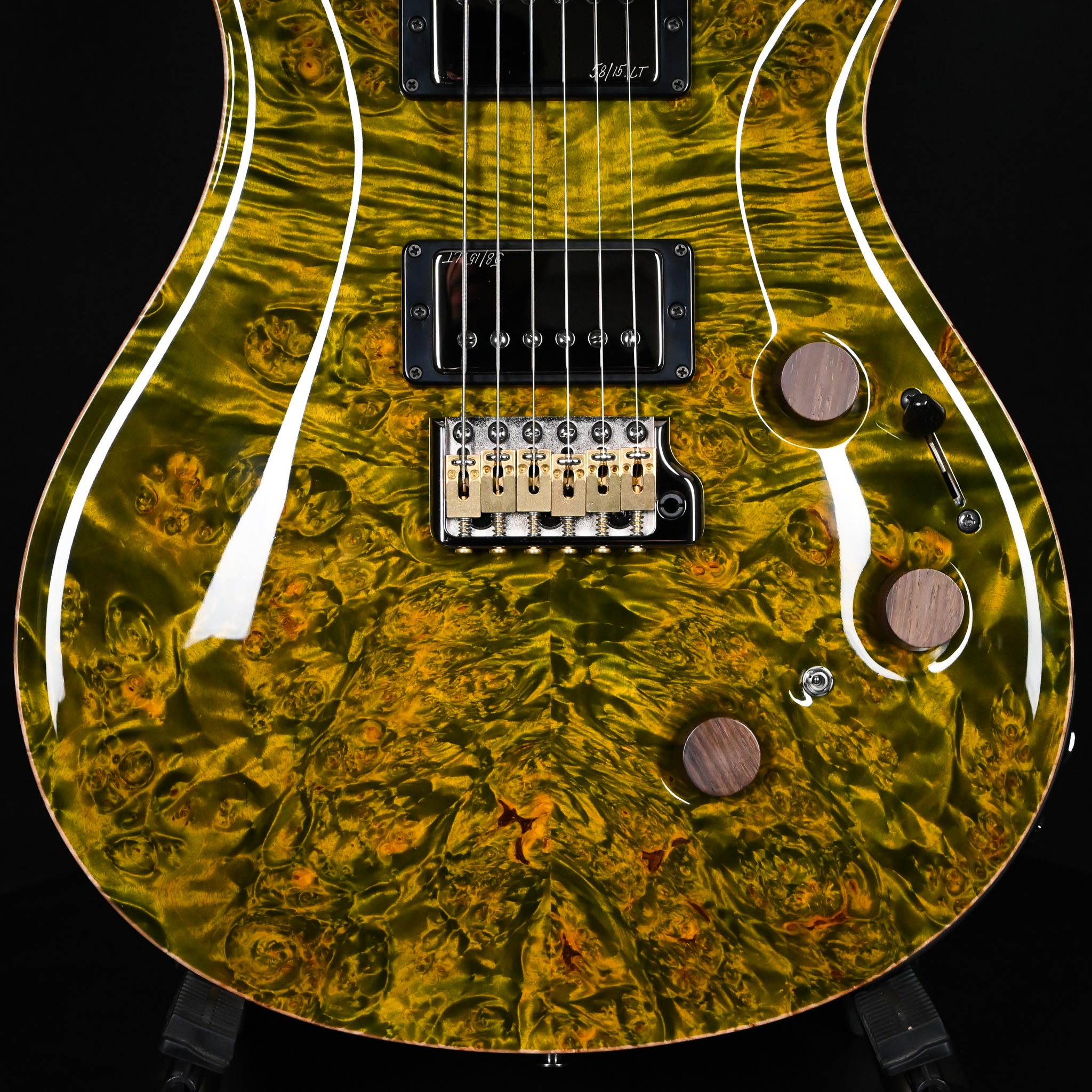 PRS Private Stock #12504 Custom 24 Piezo w/ Brazilian Rosewood Neck- Rainforest 2026 (0431183)