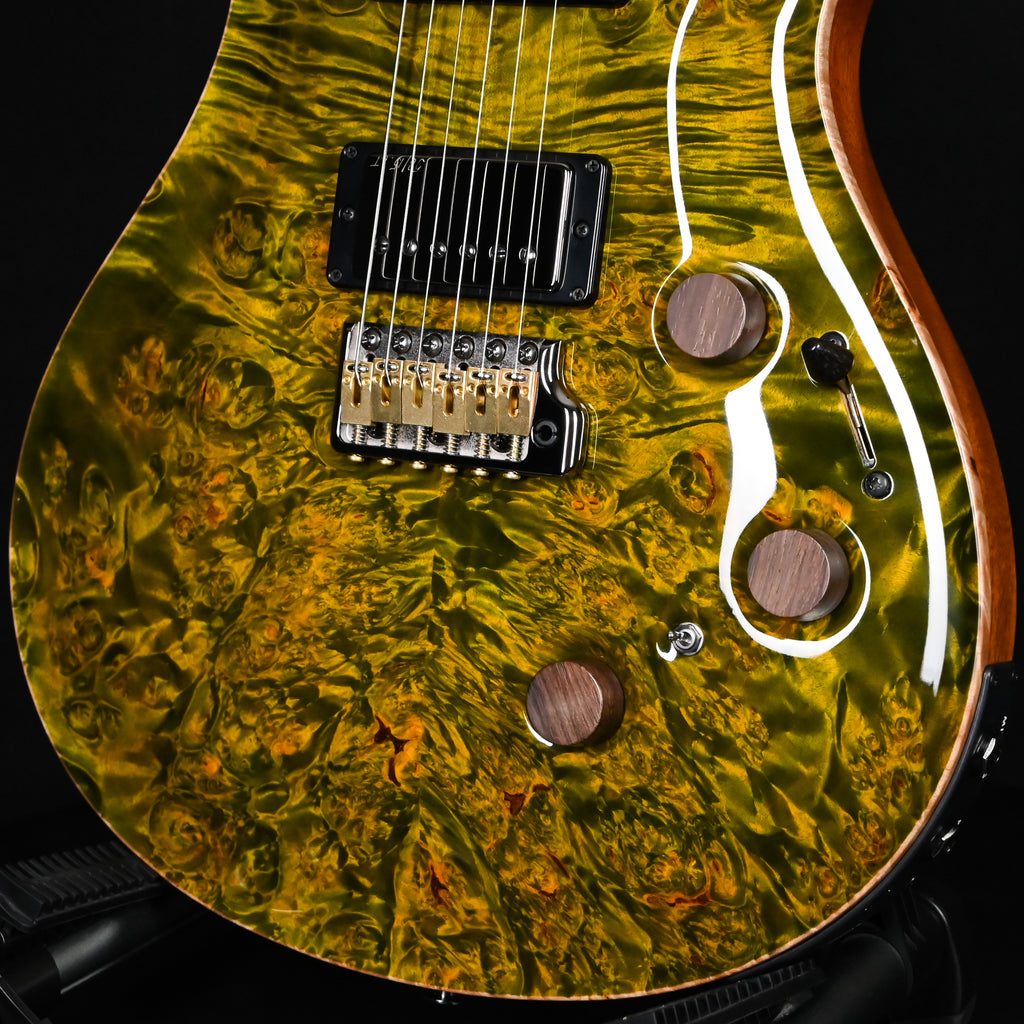 PRS Private Stock #12504 Custom 24 Piezo w/ Brazilian Rosewood Neck- Rainforest 2026 (0431183)
