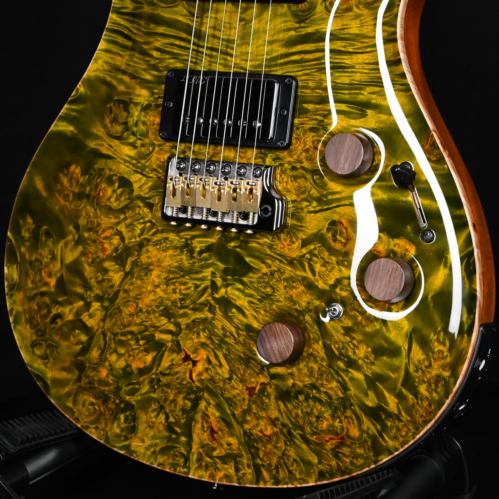 PRS Private Stock #12504 Custom 24 Piezo w/ Brazilian Rosewood Neck- Rainforest 2026 (0431183)