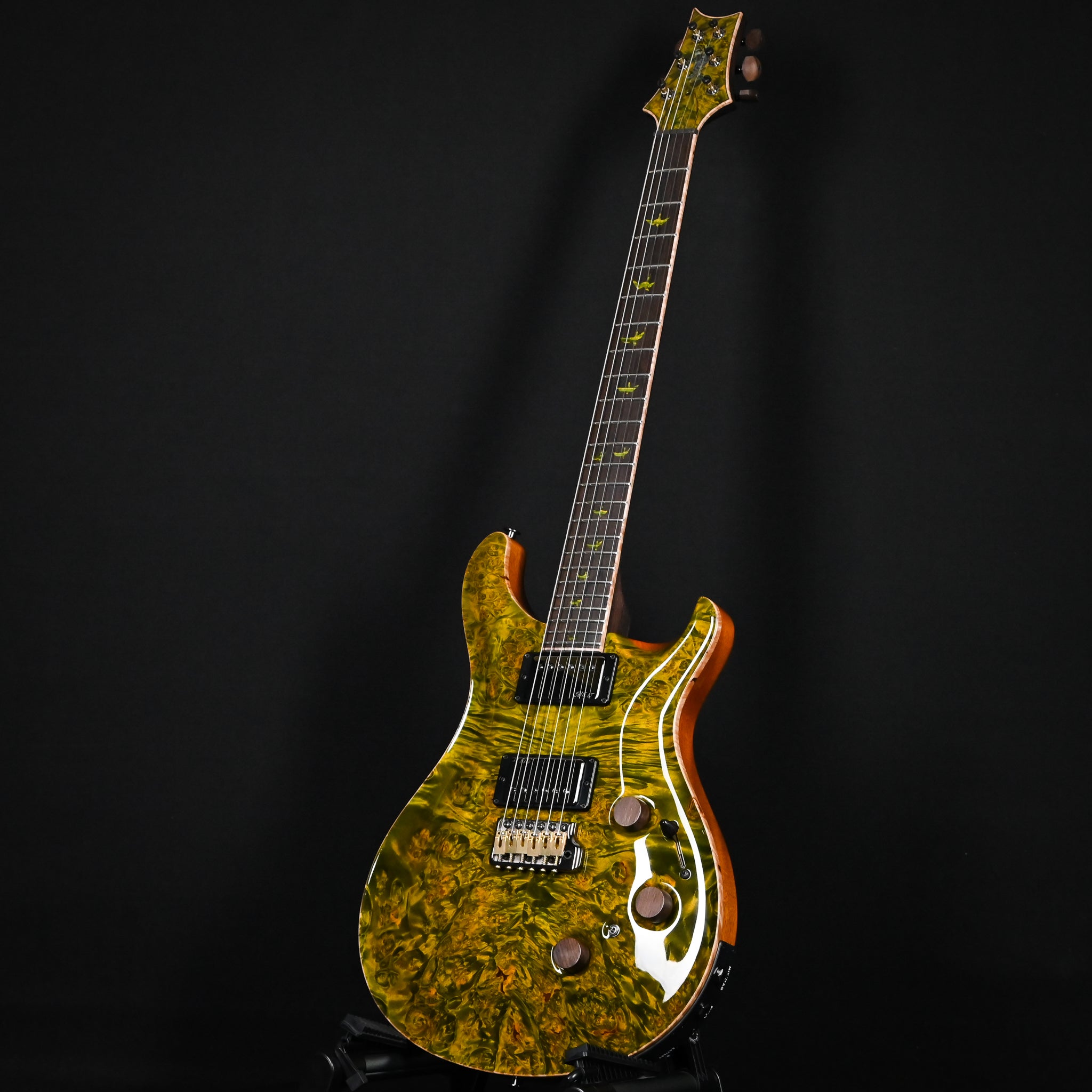 PRS Private Stock #12504 Custom 24 Piezo w/ Brazilian Rosewood Neck- Rainforest 2026 (0431183)