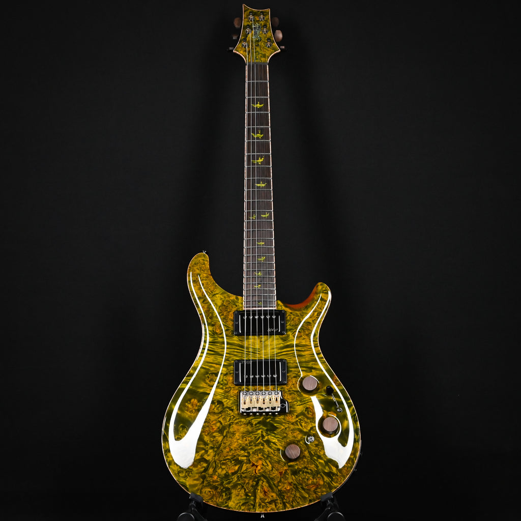 PRS Private Stock #12504 Custom 24 Piezo w/ Brazilian Rosewood Neck- Rainforest 2026 (0431183)