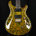 PRS Private Stock #12504 Custom 24 Piezo w/ Brazilian Rosewood Neck- Rainforest 2026 (0431183)