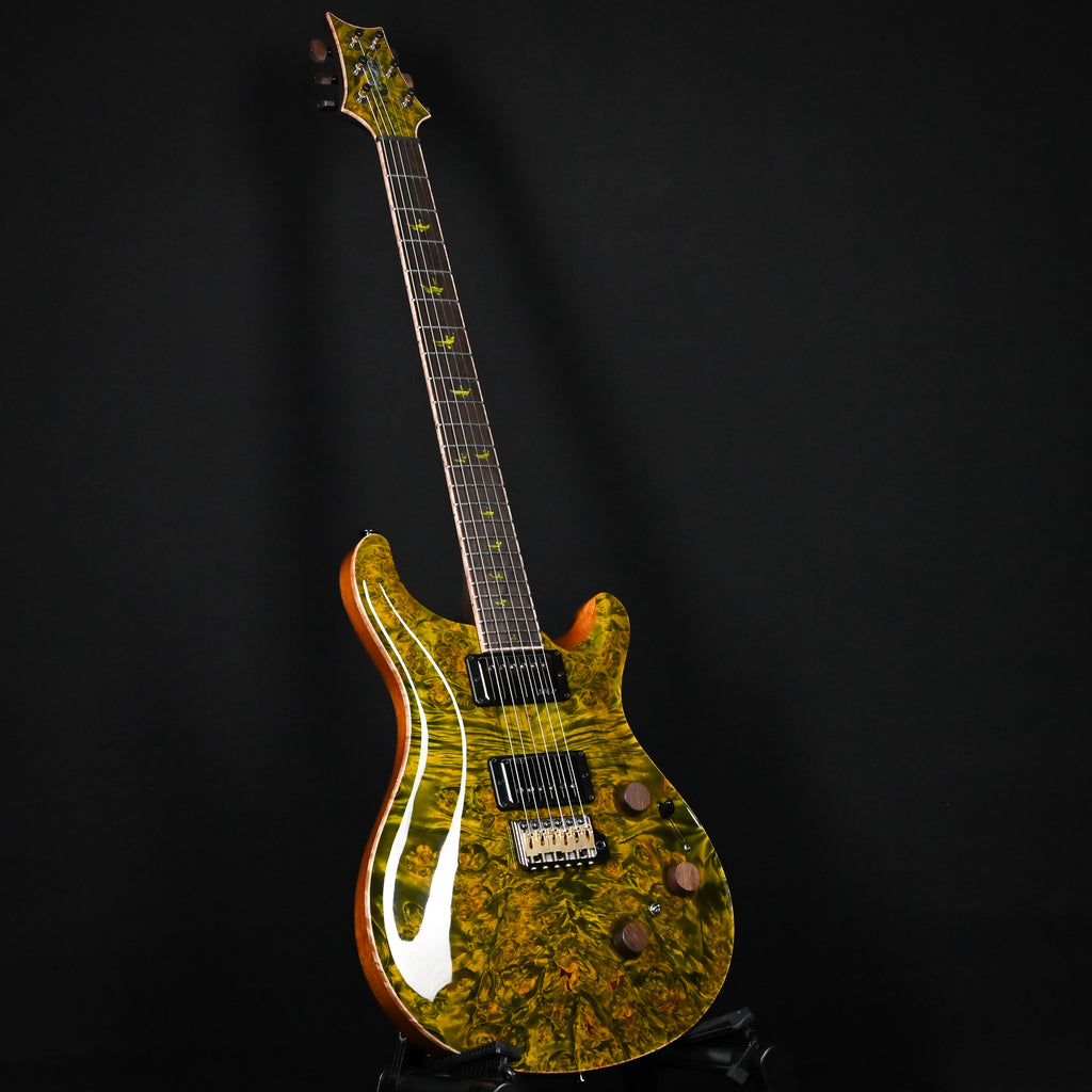 PRS Private Stock #12504 Custom 24 Piezo w/ Brazilian Rosewood Neck- Rainforest 2026 (0431183)