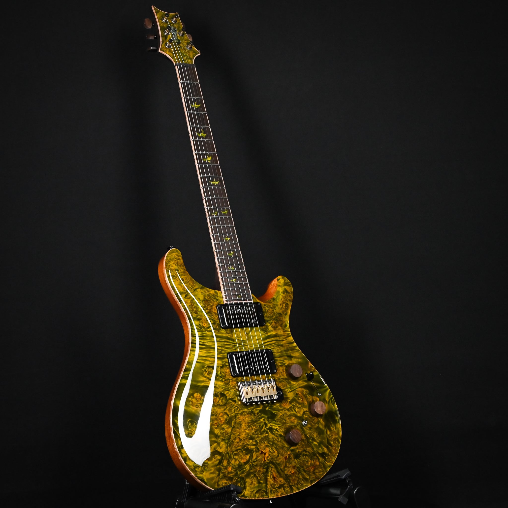 PRS Private Stock #12504 Custom 24 Piezo w/ Brazilian Rosewood Neck- Rainforest 2026 (0431183)