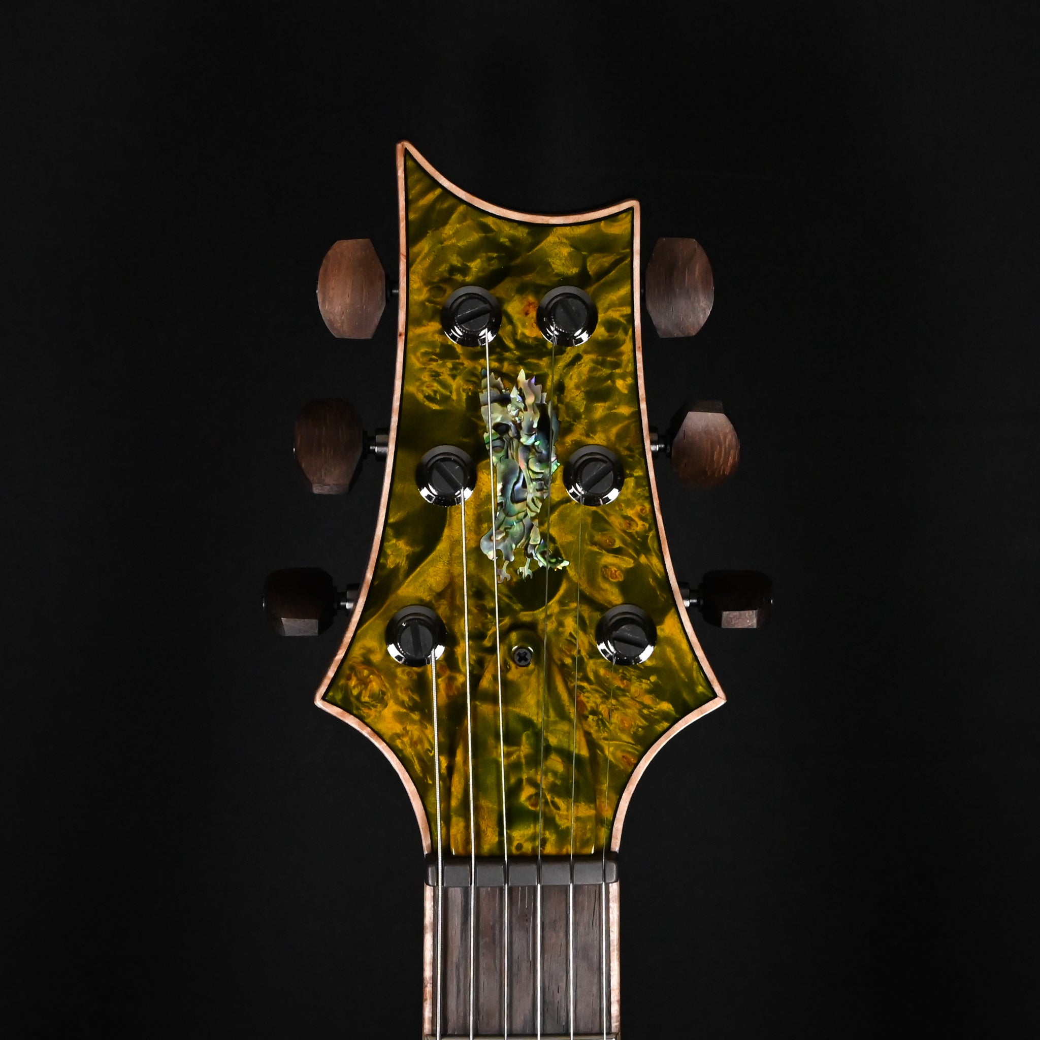 PRS Private Stock #12504 Custom 24 Piezo w/ Brazilian Rosewood Neck- Rainforest 2026 (0431183)
