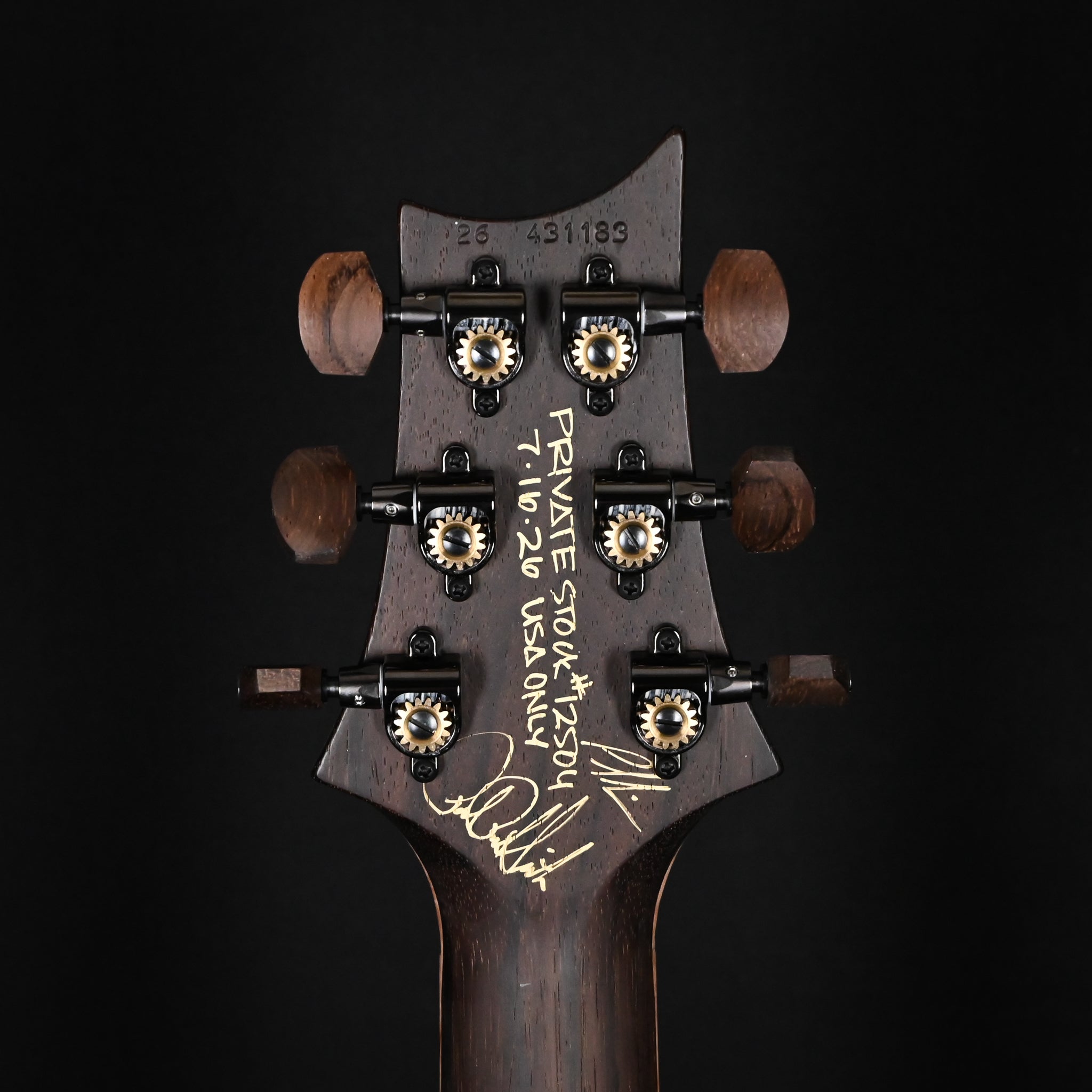 PRS Private Stock #12504 Custom 24 Piezo w/ Brazilian Rosewood Neck- Rainforest 2026 (0431183)