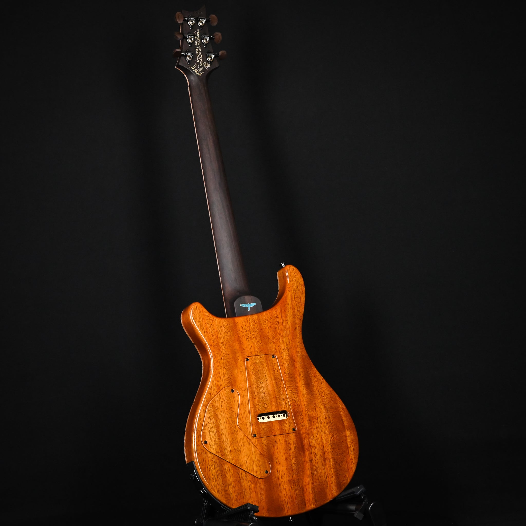 PRS Private Stock #12504 Custom 24 Piezo w/ Brazilian Rosewood Neck- Rainforest 2026 (0431183)