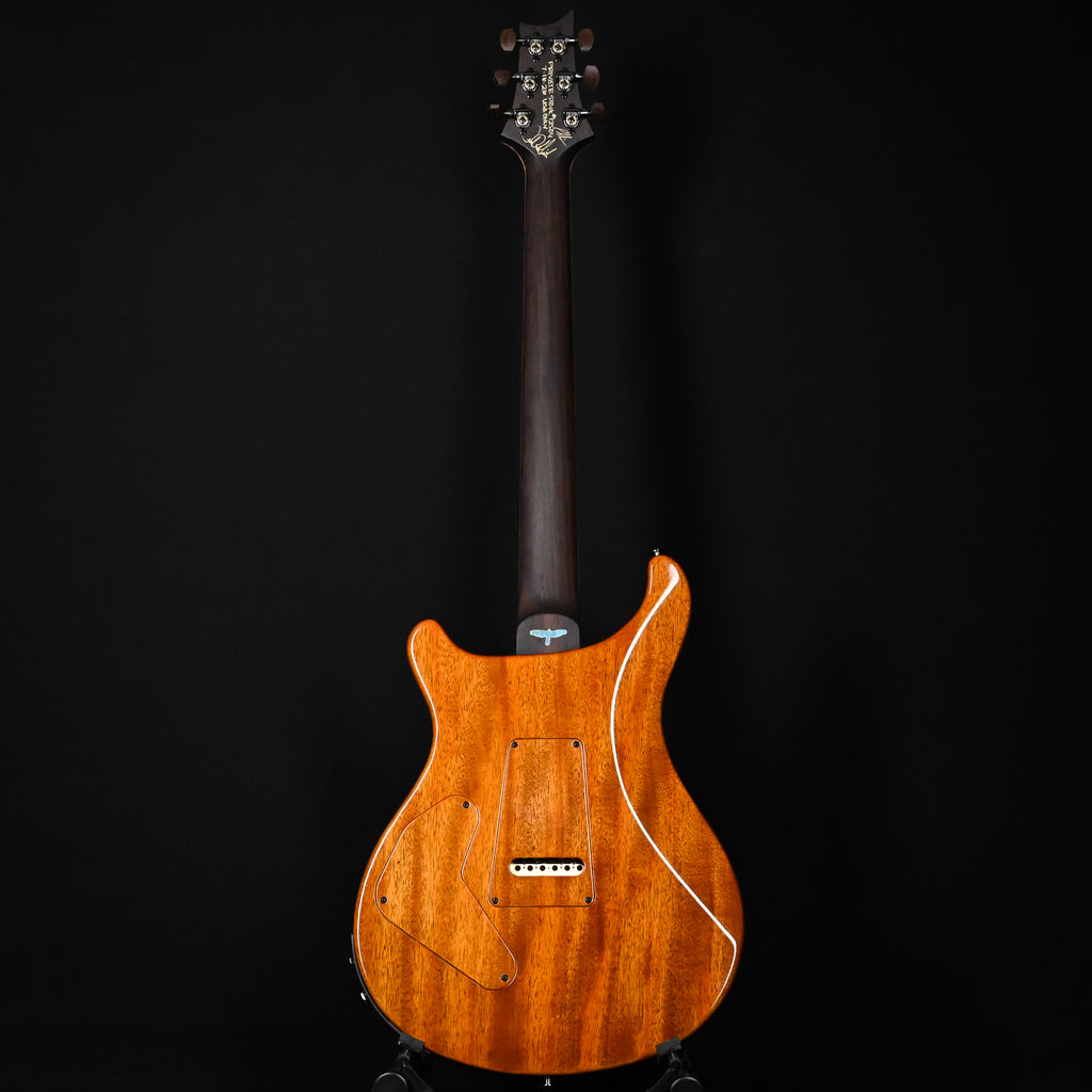 PRS Private Stock #12504 Custom 24 Piezo w/ Brazilian Rosewood Neck- Rainforest 2026 (0431183)