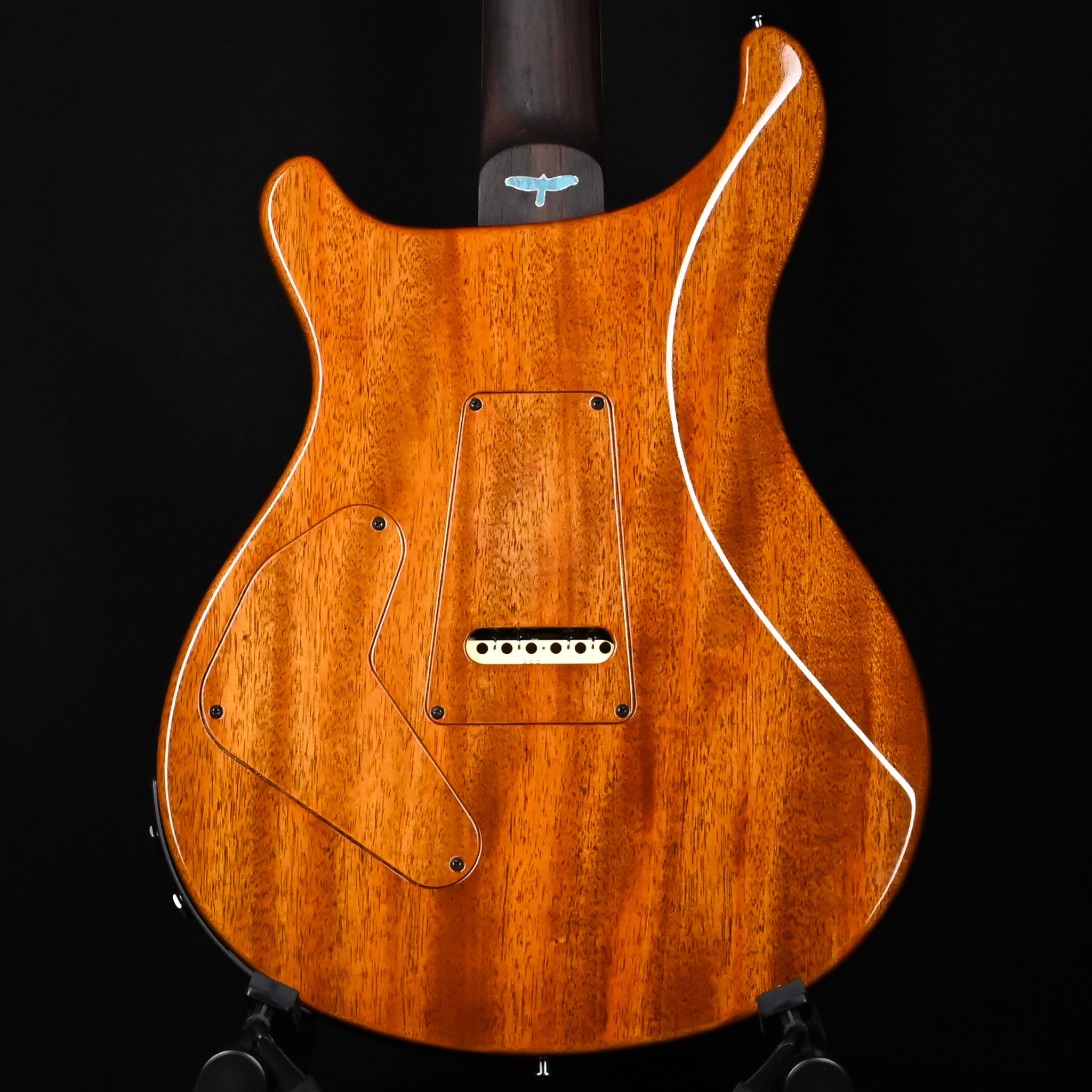 PRS Private Stock #12504 Custom 24 Piezo w/ Brazilian Rosewood Neck- Rainforest 2026 (0431183)