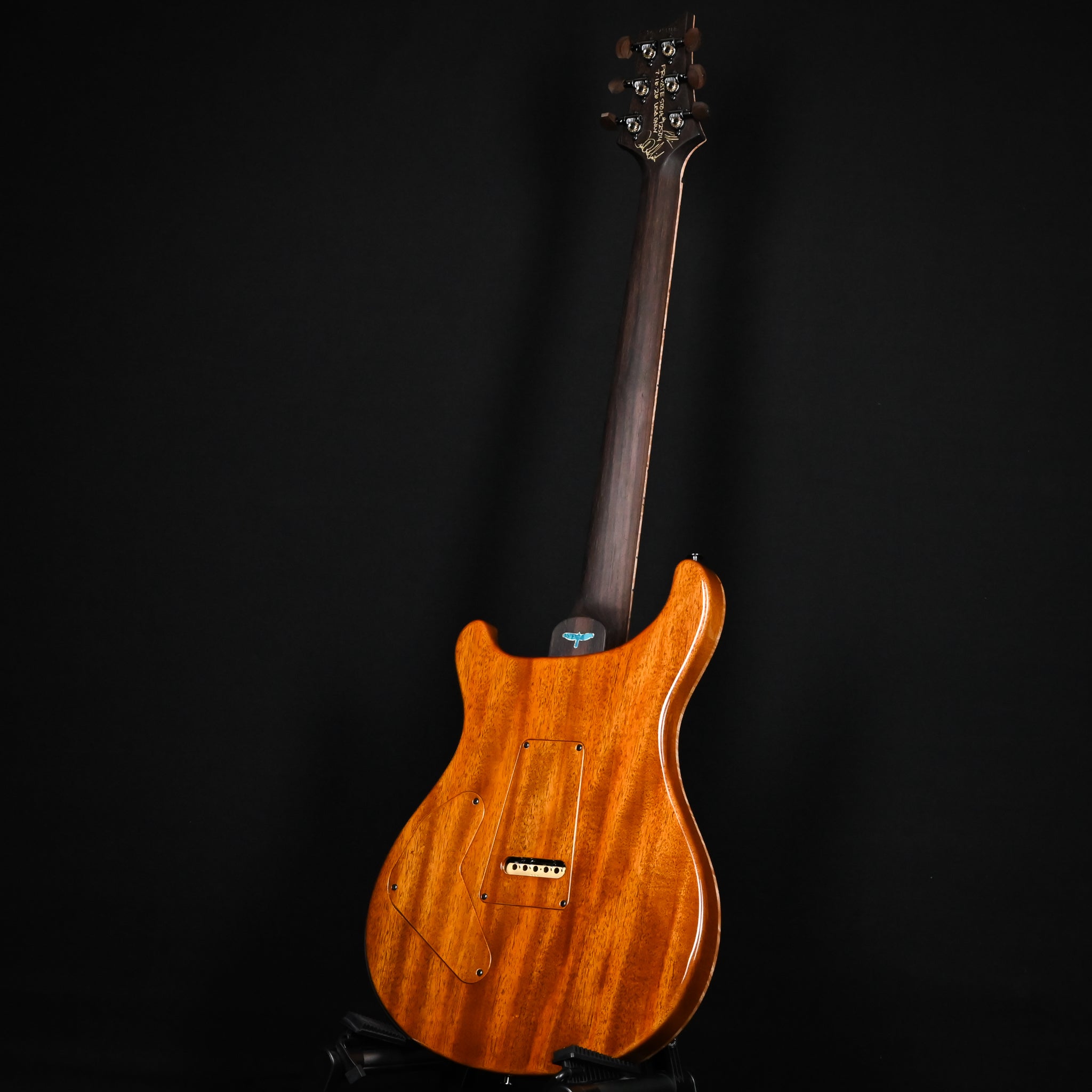PRS Private Stock #12504 Custom 24 Piezo w/ Brazilian Rosewood Neck- Rainforest 2026 (0431183)