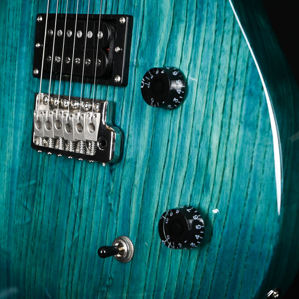 PRS SE Swamp Ash Special- Iris Blue (CTIG021671)