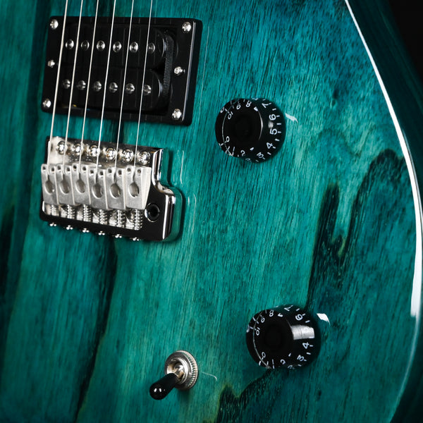 PRS SE Swamp Ash Special- Iris Blue (CTIG029275)