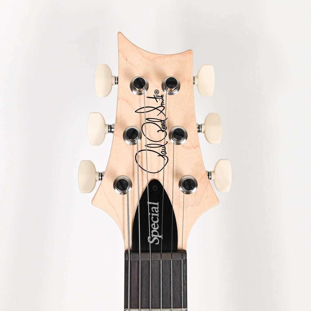 PRS CE 24 Special Electric Guitar- Sprayer's Choice 2025 (0420662)