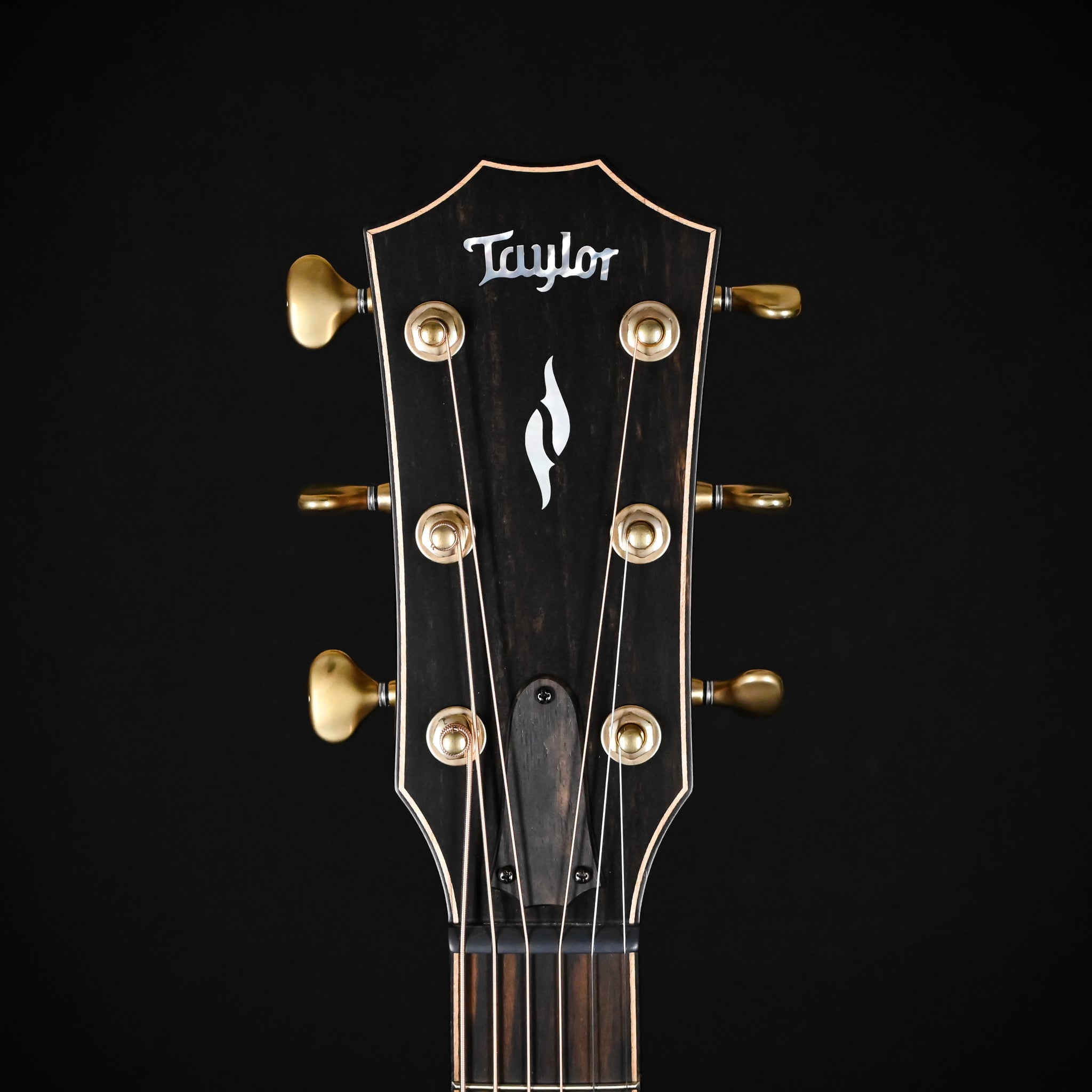Taylor Next Generation Builder's Edition 814ce w/ Adirondack Spruce Top & Honduran Rosewood Back and Sides- Kona Edgeburst Back/Sides, Shaded Edge Burst Top 2026 (121146056)