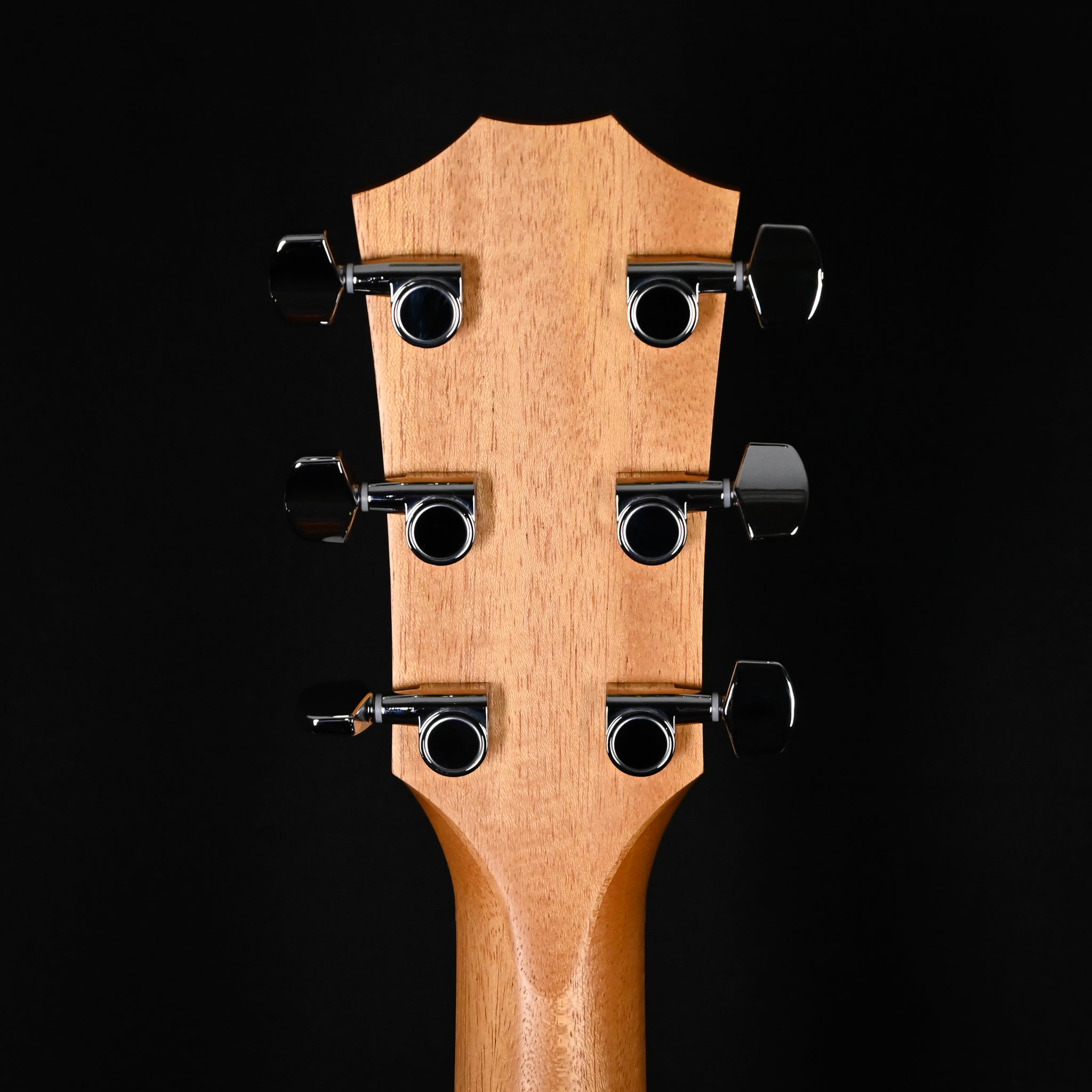 Taylor 112ce Special Edition w/ Torrefied Spruce Top & Layered Sapele Back and Sides- Honey Sunburst 2026 (2202136350)