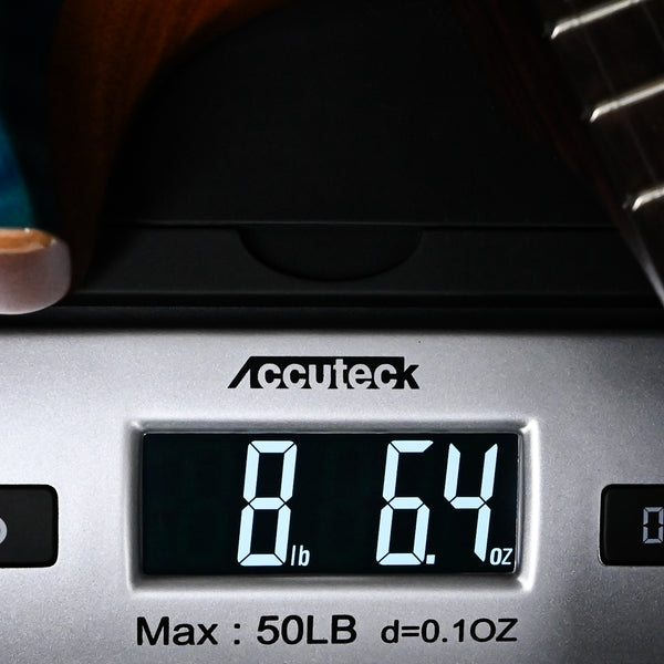 PRS Modern Eagle V Wood Library w/ 10-Top & Brazilian Rosewood Fingerboard Electric Guitar- Aquabluex 2025 (0414998)