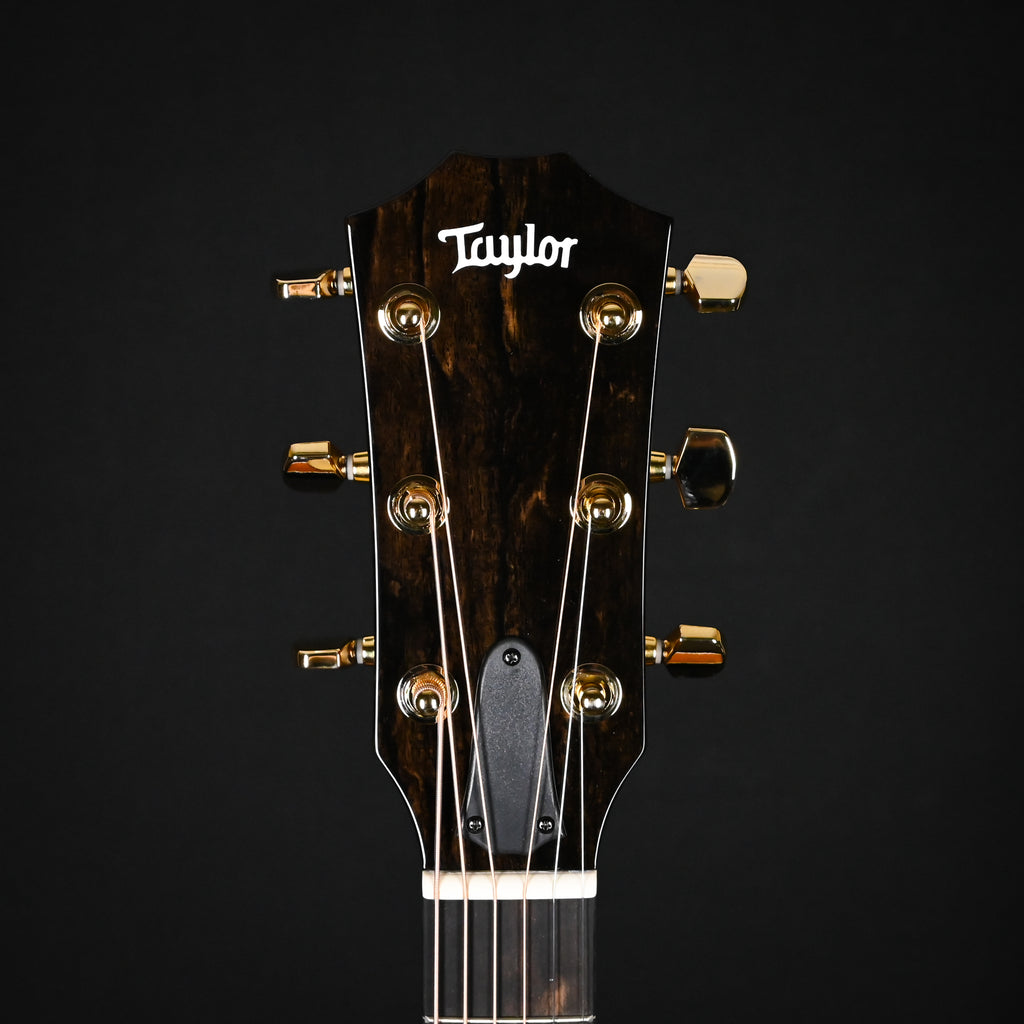 Taylor 217e Plus Special Edition Honeyburst w/ Torrefied Spruce Top & Big Leaf Maple Back and Sides Acoustic/ Electric- Honey Sunburst 2026 (2202066281)