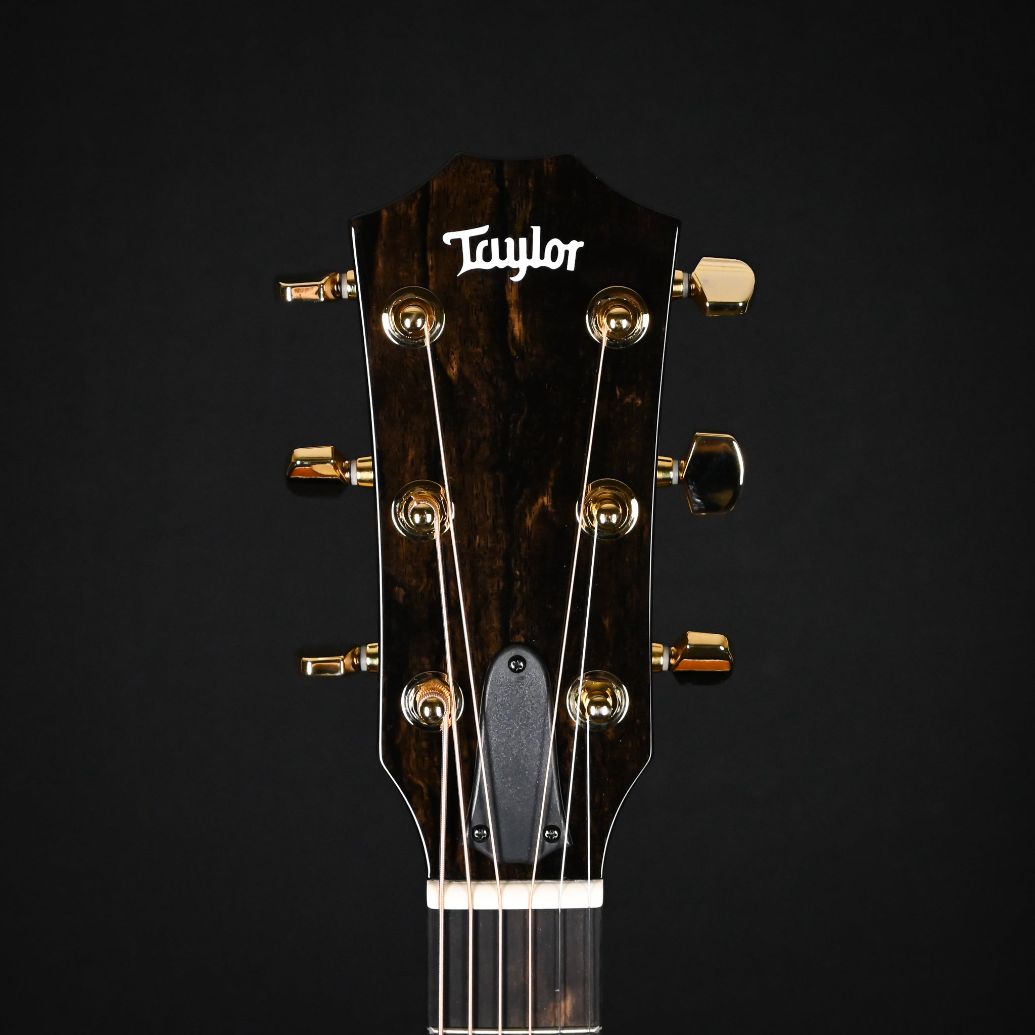 Taylor 217e Plus Special Edition Honeyburst w/ Torrefied Spruce Top & Big Leaf Maple Back and Sides Acoustic/ Electric- Honey Sunburst 2026 (2202066281)