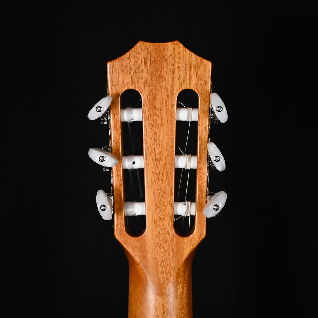 Taylor 814ce-N w/ Sitka Spruce Top & Indian Rosewood Back and Sides Acoustic/ Electric Guitar- Natural 2025 (1210085039)
