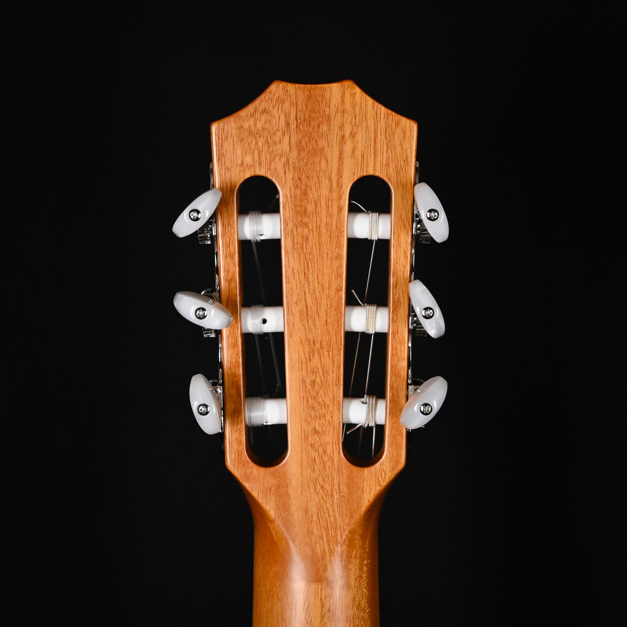 Taylor 814ce-N w/ Sitka Spruce Top & Indian Rosewood Back and Sides Acoustic/ Electric Guitar- Natural 2025 (1210085039)