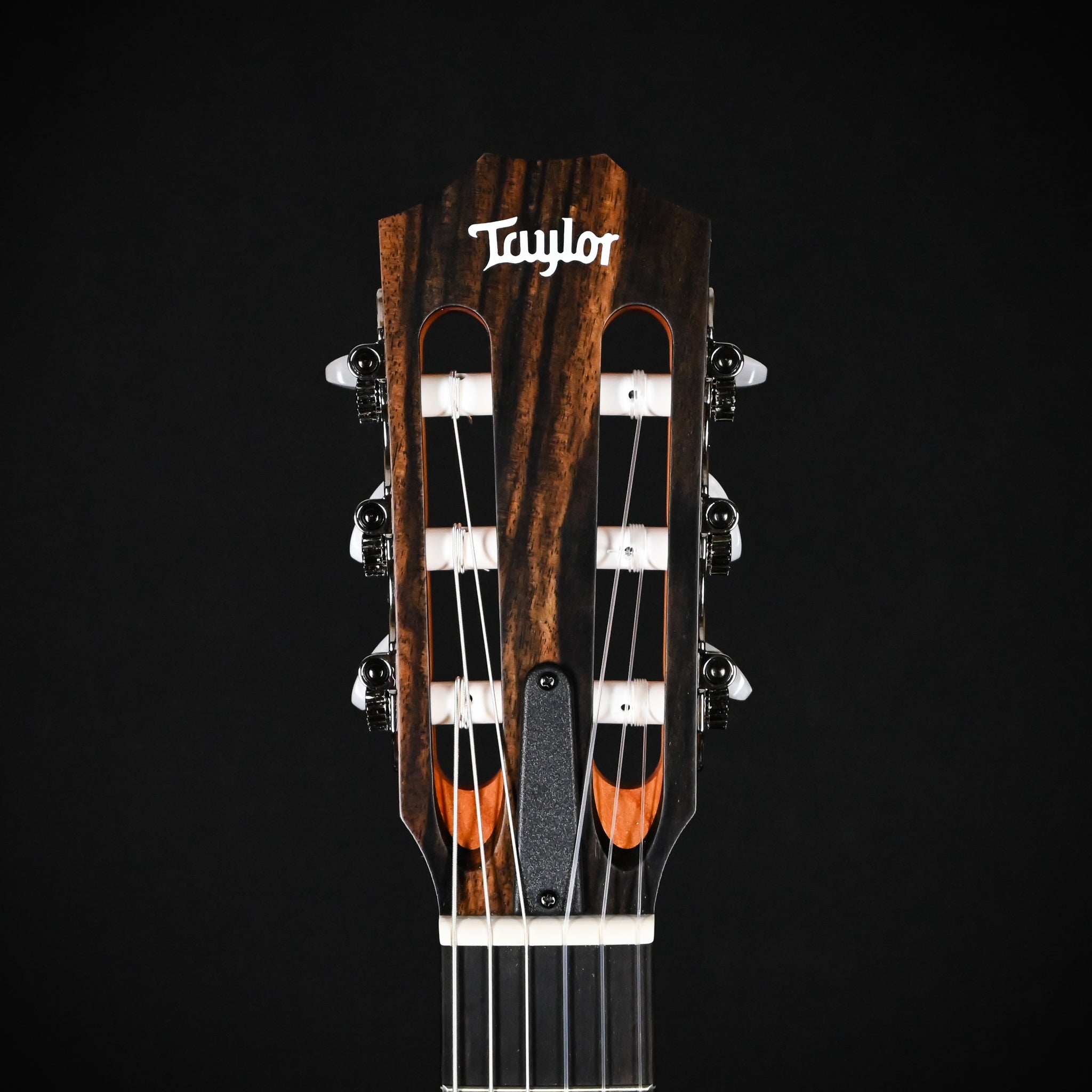 Taylor 214ce-N Nylon-string Acoustic/ Electric Guitar - Natural 2026 (2202166525)