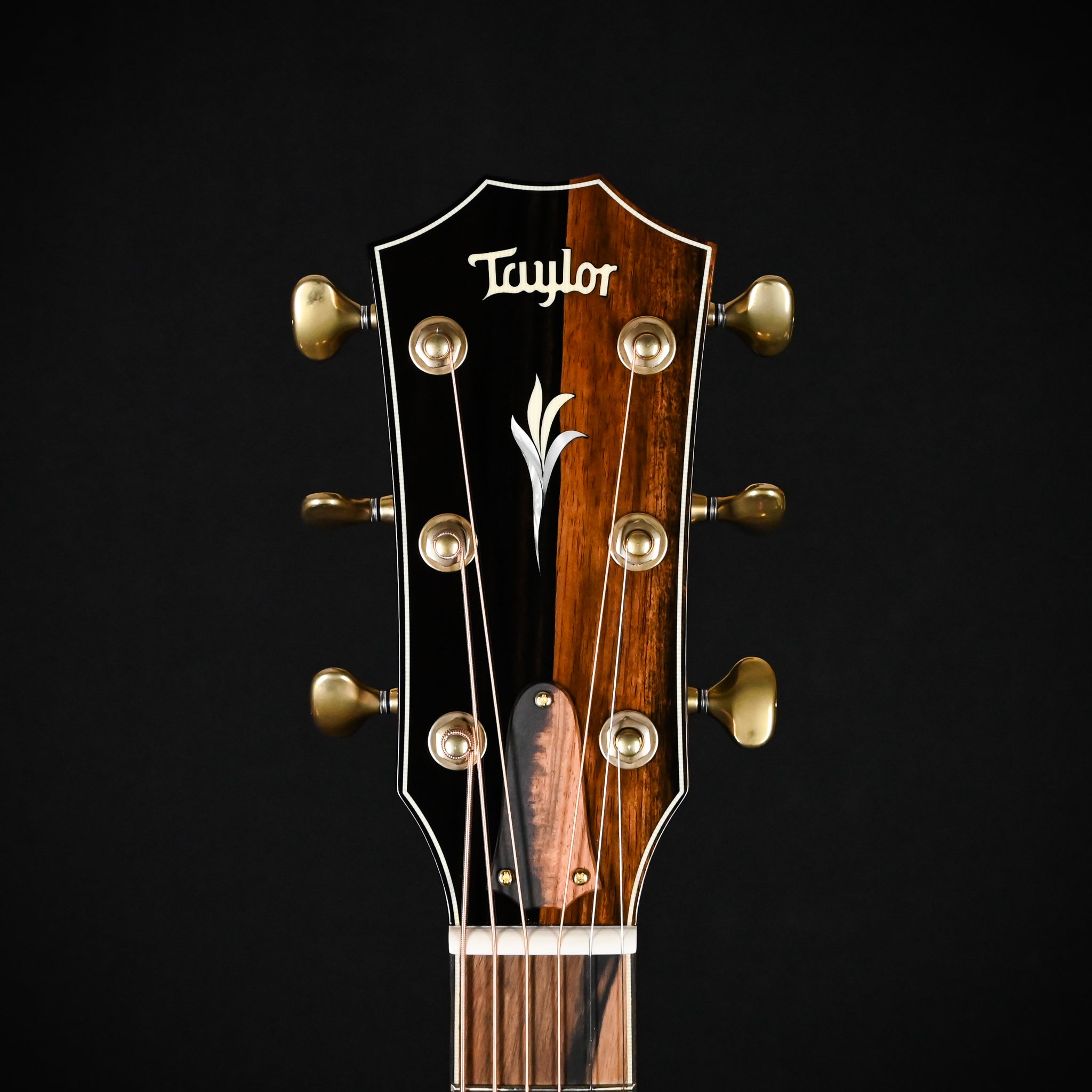 Taylor Custom GA C14ce B6037 w/ Port Orford Cedar Top & Bocote Back and Sides Acoustic-Electric Guitar 2025 (1212175083) NAMM 2026