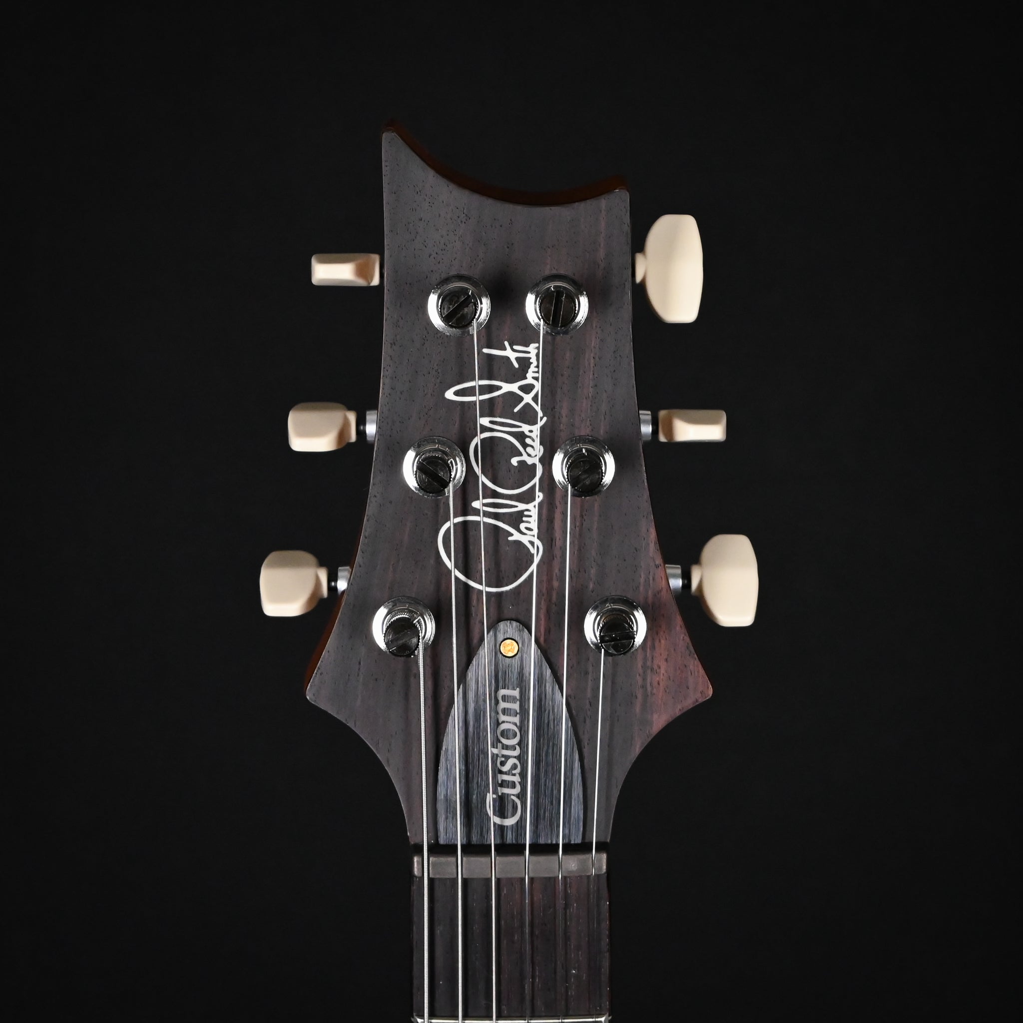 PRS Custom 24 Piezo w/ 10-Top & DMO Pickups Electric Guitar- Aurora Borealis 2026 (0420420)