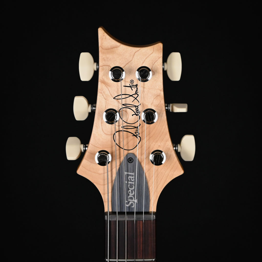 PRS CE 24 Special Electric Guitar- Sprayer's Choice 2025 (0418154)