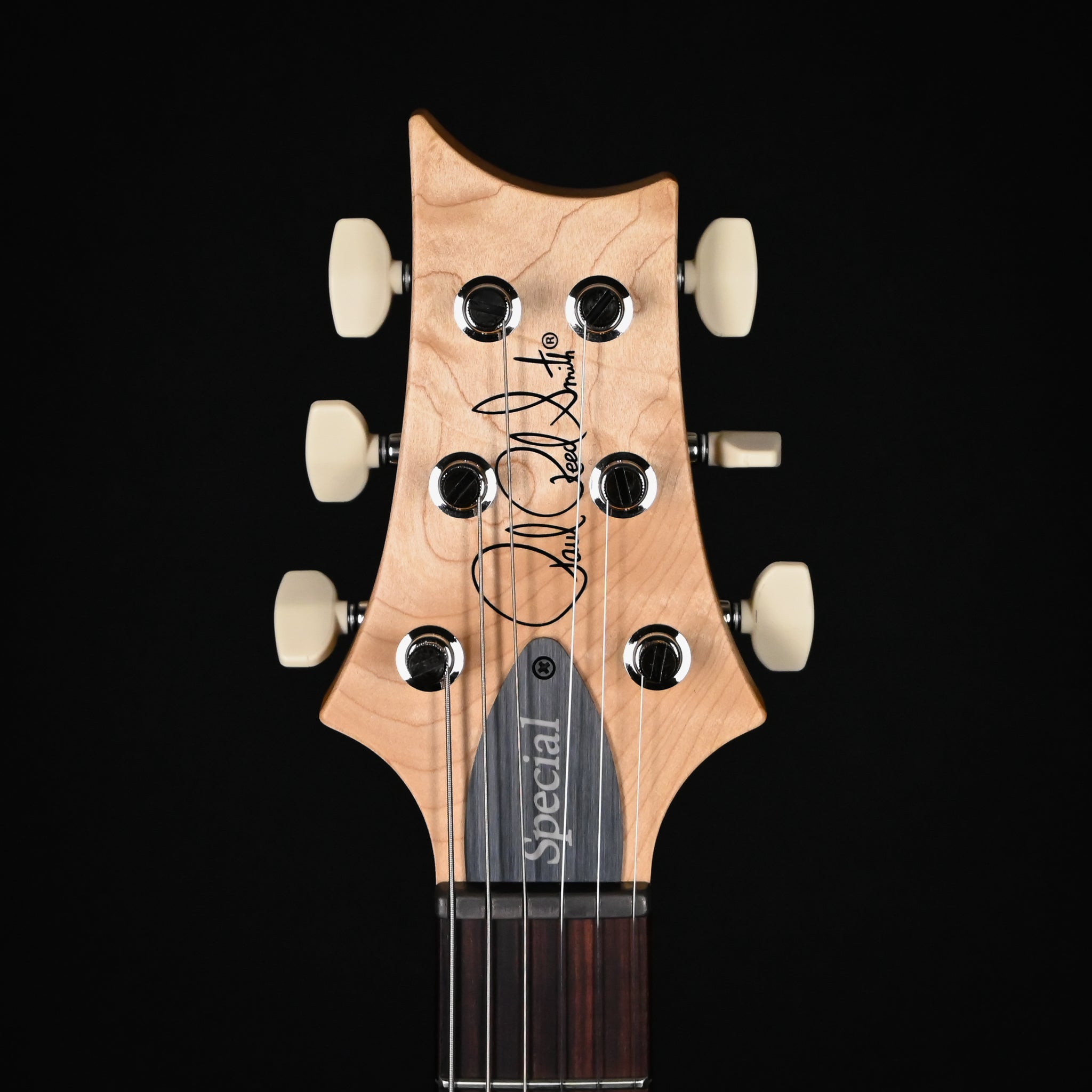 PRS CE 24 Special Electric Guitar- Sprayer's Choice 2025 (0418154)