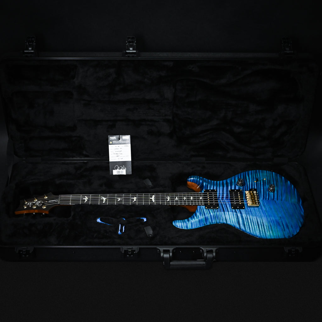 PRS Custom 24 w/ 10-Top & DMO Pickups- Custom Color 2026 (0422739)