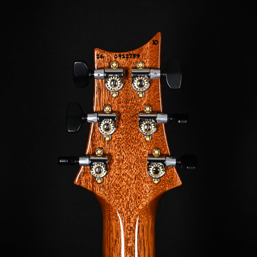 PRS Custom 24 w/ 10-Top & DMO Pickups- Custom Color 2026 (0422739)